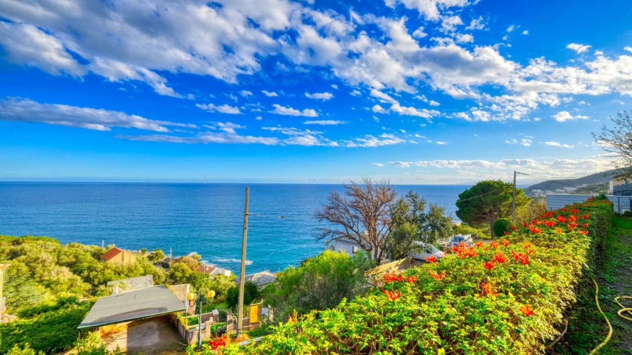 Studio Plage Santa-Maria-di-Lota Экстерьер фото